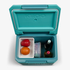 Tag Along Too Spinner Cooler